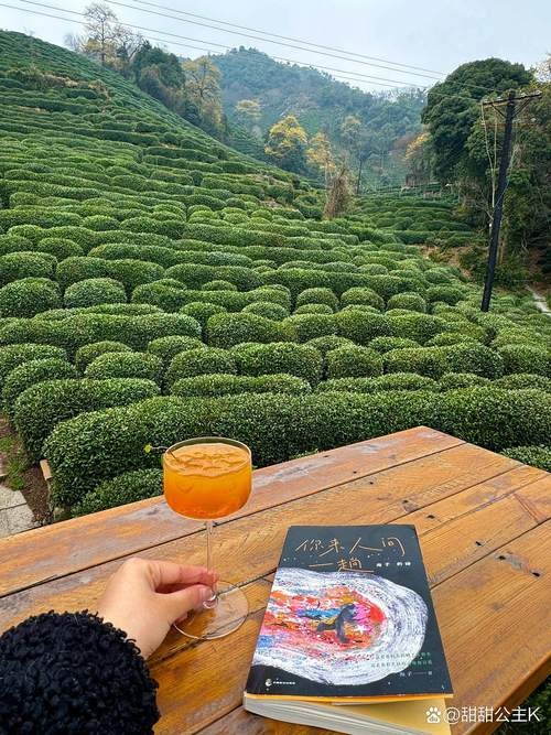 护风守味，在大风的季节里，手握茶香品味生活之美。