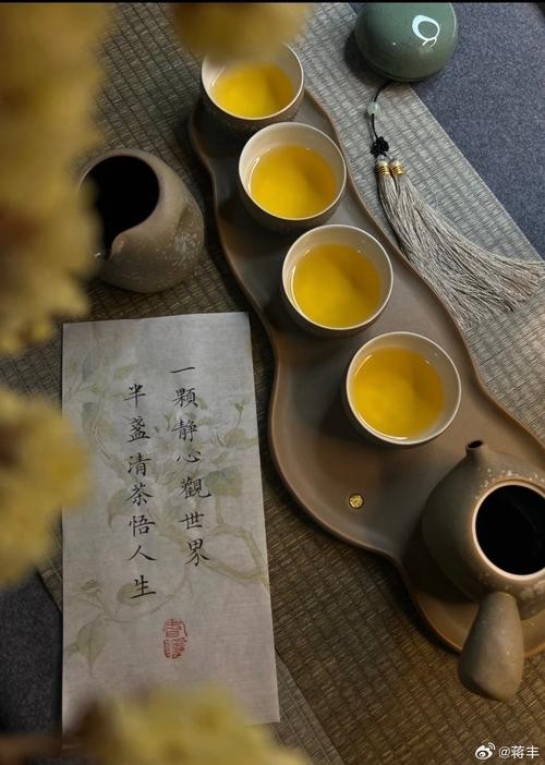 茶心安处，偷得浮生半日闲，寻觅生活中的静谧美好时刻。